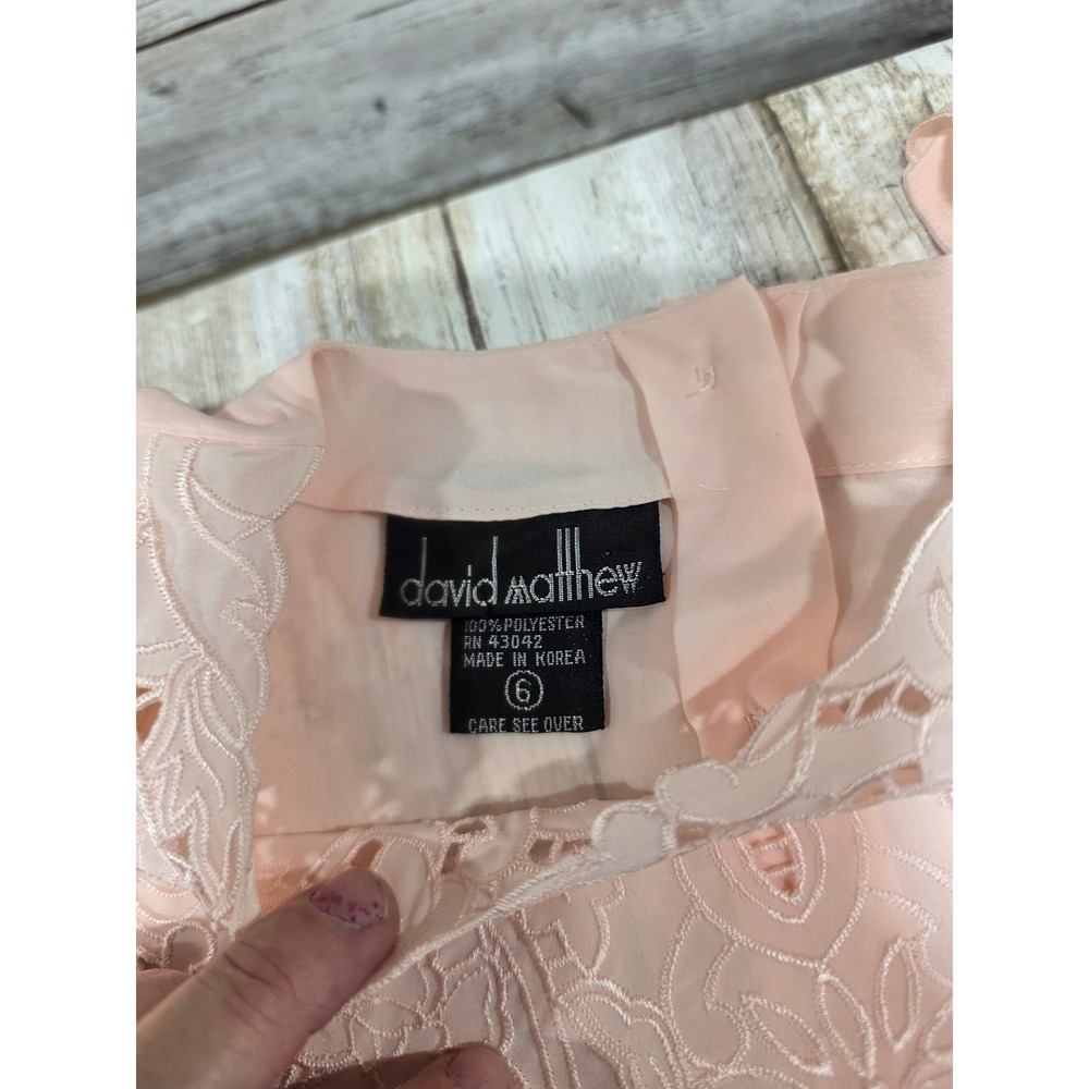 David Matthew Peach Embroidered Lace Neckline Blouse Long Sleeve Vintage Style 6 - Picture 6 of 7
